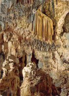 34-SAINT BAUZILLE DE PUTOIS-GROTTE DES DEMOISELLES-N°2819-D/0013 - Sonstige & Ohne Zuordnung