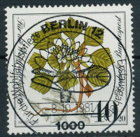 BRD 1981 Nr 1108 ESST Zentrisch Gestempelt X82423E - Used Stamps