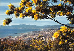 06-CANNES-N°2820-D/0331 - Cannes