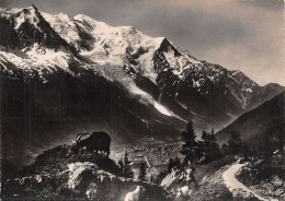 74-CHAMONIX-N°2820-D/0117 - Chamonix-Mont-Blanc