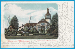 AK Mülhausen Mulhouse Litho Elsass Restaurant Zoo   (1132 - Elsass