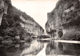 48-GORGES DU TARN-LES DETROITS-N°2821-C/0215 - Gorges Du Tarn