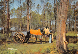 40-PAYSAGE DES LANDES-ATTELAGE DE MULES-N°2821-C/0123 - Autres & Non Classés