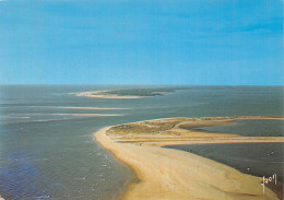 33-BASSIN D ARCACHON-N°2821-B/0273 - Other & Unclassified