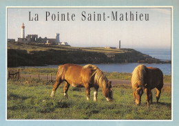 29-PLOUGONVELIN-LA POINTE SAINT MATHIEU-N°2822-B/0189 - Plougonvelin