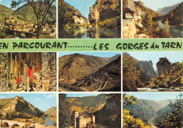 48-PANORAMA DES GORGES DU TARN-N°2822-A/0253 - Sonstige & Ohne Zuordnung