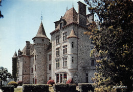 15-POLMINHAC-CHATEAU DE PESTEILS-N°2822-D/0365 - Altri & Non Classificati