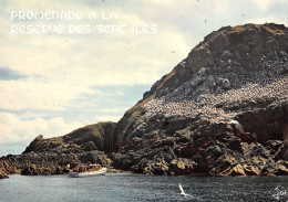 22-PERROS GUIREC-RESERVE DES SEPT ILES-N°2822-D/0261 - Perros-Guirec