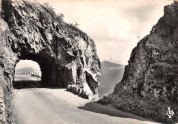 88-LA SCHLUCHT-LA ROCHE DU CHAMEAU-N°2822-D/0139 - Autres & Non Classés