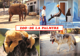 17-LA PALMYRE-LE ZOO-N°2822-C/0379 - Other & Unclassified