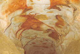 24-MONTIGNAC-GROTTES DE LASCAUX-N°2822-C/0213 - Sonstige & Ohne Zuordnung