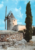 13-FONTVIEILLE-LE MOULIN DE DAUDET-N°2823-C/0087 - Fontvieille