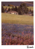 83-PAYSAGE DE PROVENCE-N°2823-B/0317 - Other & Unclassified