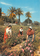 06-PAYSAGE DE COTE D AZUR-CUEILLETTE DES ROSES-N°2824-D/0301 - Sonstige & Ohne Zuordnung