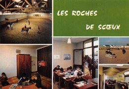 19-CHAMBERET-LES ROCHES DE SCOEUX-N°2825-C/0011 - Sonstige & Ohne Zuordnung