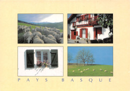 64-PAYSAGE DU PAYS BASQUE-N°2826-A/0237 - Other & Unclassified