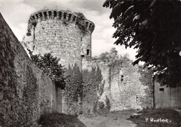 78-CHEVREUSE-CHATEAU DE LA MADELEINE-N°2825-D/0351 - Chevreuse