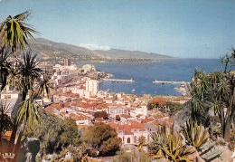 06-MONACO-N°2826-D/0221 - Autres & Non Classés