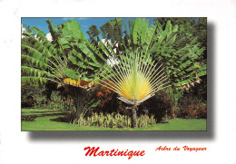 972-LA MARTINIQUE-N°2826-D/0061 - Autres & Non Classés