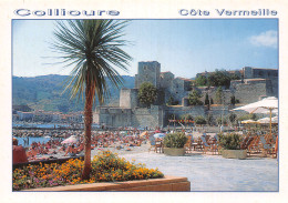 66-COLLIOURE-N°2826-C/0171 - Collioure