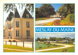 53-MESLAY DU MAINE-N°2826-C/0099 - Meslay Du Maine