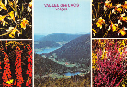 88-PANORAMA DE LA VALLEE DES LACS-N°2826-B/0241 - Other & Unclassified