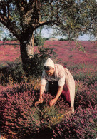 83-PAYSAGE DE PROVENCE-N°2827-B/0131 - Autres & Non Classés