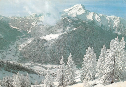 74-CHATEL-N°2828-A/0105 - Châtel