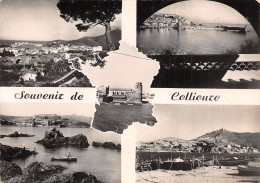 66-COLLIOURE-N°2828-D/0011 - Collioure