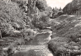 77-PROVINS-N°2828-B/0357 - Provins