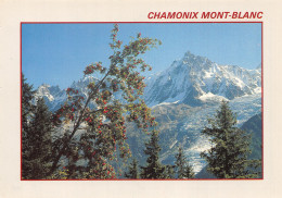 74-CHAMONIX-N°2828-B/0333 - Chamonix-Mont-Blanc