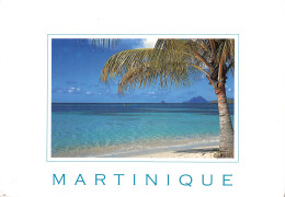 972-LA MARTINIQUE-N°2828-B/0115 - Other & Unclassified
