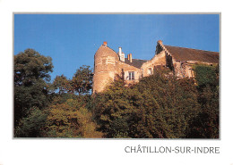 36-CHATILLON SUR INDRE-N°2829-C/0023 - Other & Unclassified