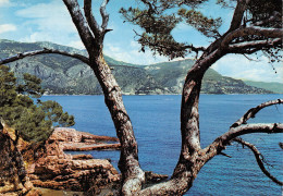 06-CAP FERRAT-N°2829-A/0395 - Autres & Non Classés