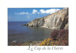 29-LE CAP DE LA CHEVRE-N°2829-D/0273 - Sonstige & Ohne Zuordnung