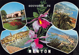 06-MENTON-N°2829-D/0195 - Menton