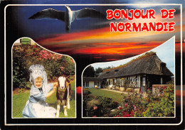 14-PAYSAGE DE NORMANDIE-N°2829-D/0101 - Autres & Non Classés