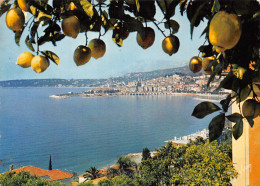 06-MENTON-N°2829-C/0205 - Menton