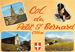 73-COL DU PETIT SAINT BERNARD-N°2829-C/0157 - Other & Unclassified