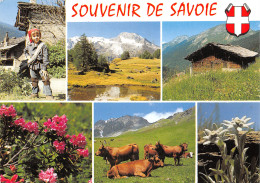 73-PAYSAGE DE SAVOIE-N°2830-C/0361 - Autres & Non Classés