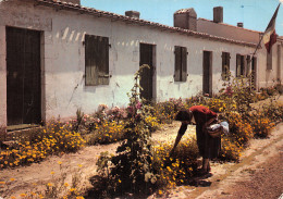 17-ILE D AIX-N°2830-C/0341 - Autres & Non Classés