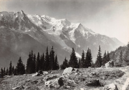 74-CHAMONIX-N°2830-C/0165 - Chamonix-Mont-Blanc