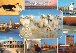 13-PANORAMA DE CAMARGUE-N°2830-C/0051 - Autres & Non Classés