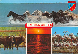 13-PAYSAGE DE CAMARGUE-N°2830-B/0135 - Autres & Non Classés