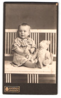 Fotografie A. Wertheim, Berlin, Oranienstr., Portrait Kleines Kind Im Kleid Mit Teddybär Auf Einer Bank  - Anonieme Personen