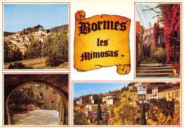83-BORMES LES MIMOSAS-N°2831-C/0369 - Bormes-les-Mimosas