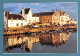 56-QUIBERON-N°2832-C/0023 - Quiberon