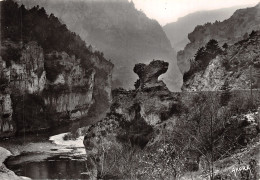 48-LES GORGES DU TARN-N°2832-B/0253 - Sonstige & Ohne Zuordnung