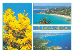 83-LE LAVANDOU-N°2832-A/0357 - Le Lavandou