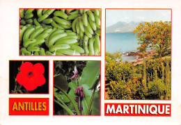 972-LA MARTINIQUE-N°2833-B/0205 - Other & Unclassified